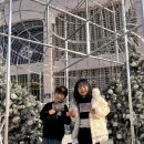 별이빛나는고흐미술학원 | 부산진역 빈센트 반 고흐 레플리카전 후기｜아이들과 다녀온 주말 전시 + 주차 꿀팁