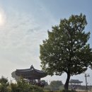 홍주택시 이미지