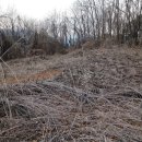 고산로 220 이미지