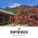열녀 남평문씨 정려각 | 옻골마을 능소화 배롱나무 돌담길 대구 7월 꽃구경 당일치기 여행 추천