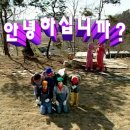 보양푸드