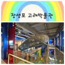 울산연구원 실내 화장실 | [아이랑 울산 여행] 장생포 고래박물관 방문 후기. 미끄럼틀까지 있는 특별한 실내 나들이!