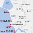 대숲사이 이미지