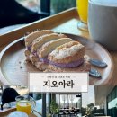 지오아라 이미지