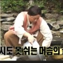 아재김밥 | 8월 무더웠던 폭염에 아재일상