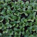 땅끝농장 이미지