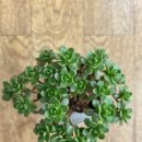 충장로 350번길 이미지