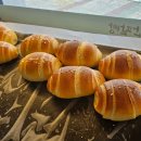 사하단팥빵 네이버블로그