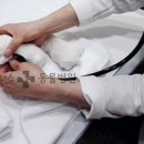 해운대플러스동물병원 이미지