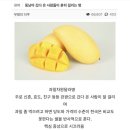 시장과일 - 강서구 등촌로5길 8 | 시장과일