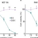 백산한의원 이미지