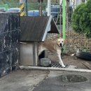 구상모터스 이미지