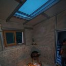 장미와 김목수 이미지