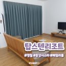 영월읍-1(삼옥1리 느티나무) | [영월 숙소] 동강시스타 리조트 :: 강원도 패밀리룸 탑스텐 비치품