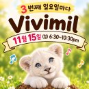 ♥️11월15일(SUN) 비비밀(AM) + 블루스 무료강습🎁😉💕 이미지