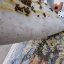 계상농장 이미지