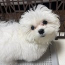 (주)이웃사람들 이미지