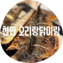 서부대로3 | 천안 오리랑닭이랑 화덕이야기 / 500도씨 화덕에서 굽는 겉바속촉 생선구이와 오리훈제 맛집 솔직후기