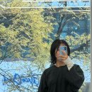 대덕대로233번길 | 대전둔산동미용실 친초샵 해수원장님 단발펌 후기