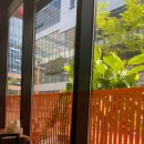 새싹이집밥 이미지