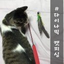 피싱다이나믹