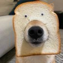 약뜸한의원 | , 나의 한약 다이어트 이야기(4) 복용 두달차 / 산삼비만약침 효과 후기(광고X)