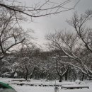 Re:관음사 야영장에서의 snow캠핑~(사진추가2) 이미지