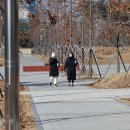 초원파크 이미지