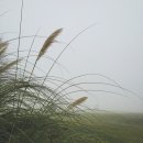 적당한 날 이미지