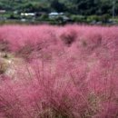 서한2차 아파트 이미지