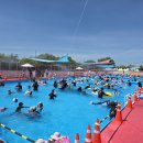 삼락생태공원 이미지