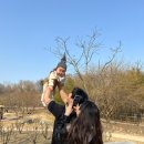 서울제일보조기 이미지