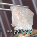 자연산해성횟집
