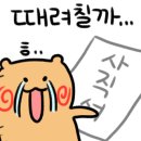 고기인스타