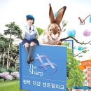 센트럴파크1 어린이집