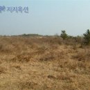 상창리-3 이미지