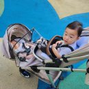 카 플러스 | 3,4세 연년생 트라이크 | 에이블유모카플러스 쌍둥이트라이크 솔직후기 장점 단점 베페가격