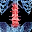 더조은 정형외과의원 이미지