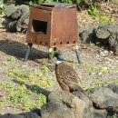 쏭자스테이 | 제주성산 근처 동쪽 가성비 숙소 쏭자스테이 4인 가족 후기