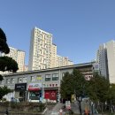 슈가리움