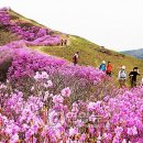 부산시민회관 앞 사거리 이미지