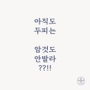 하루두피 세종아름점