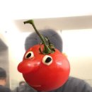 토마또(TOMATTO) 이미지