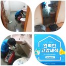 호포호 이미지