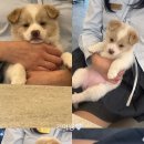 준 헤어라떼