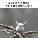 작고 소중해 이미지