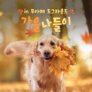 무아레도그라운드 이미지