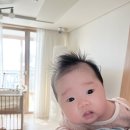 천안 정부 지원 산후도우미 도담도담 업체 내돈내산 김*화 이모님 강추 후기