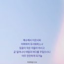 바람과바다 이미지
