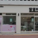 댕댕마실 이미지